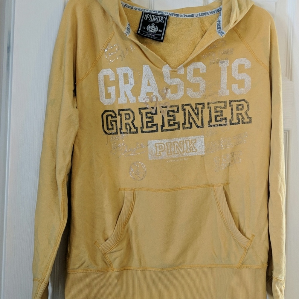 Pink! Hoodie